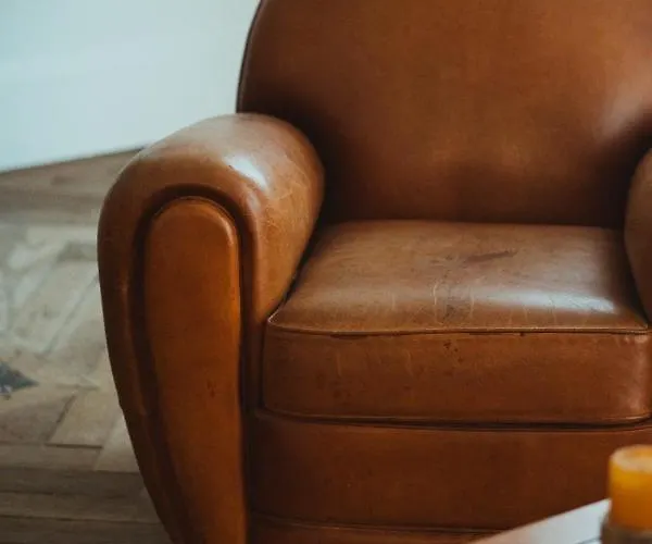 Hortensia Bagnères-de-Bigorre