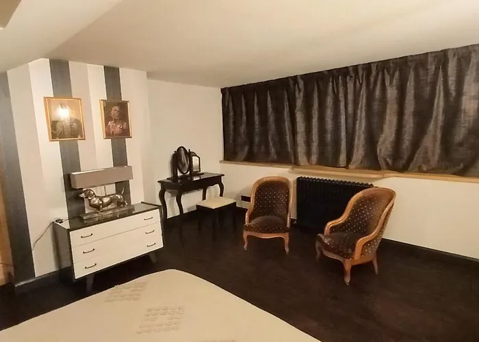 Hortensia Bagnères-de-Bigorre