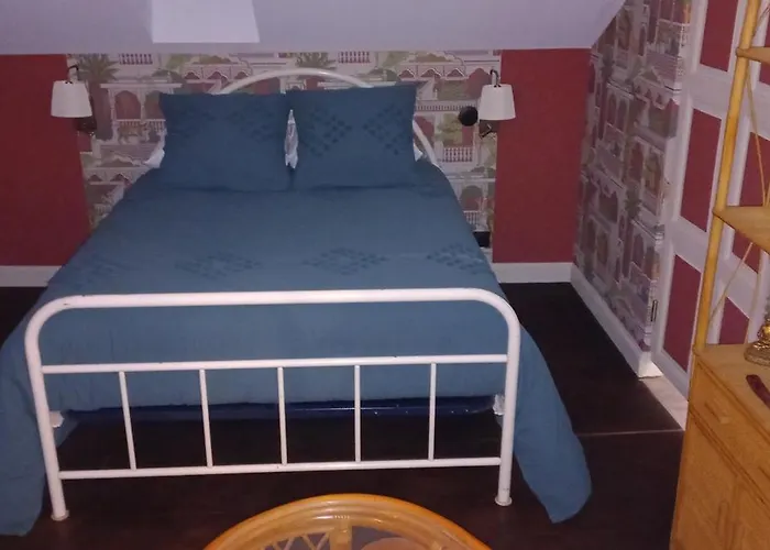 Hortensia Bagnères-de-Bigorre