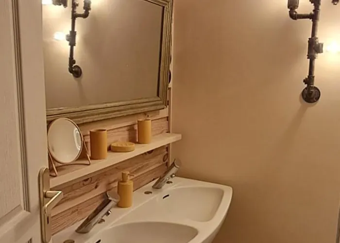 Hortensia Bagnères-de-Bigorre