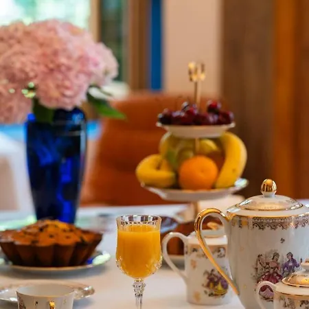 Hortensia Couette-café *