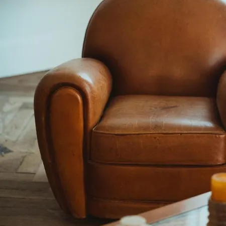 Hortensia Bagnères-de-Bigorre