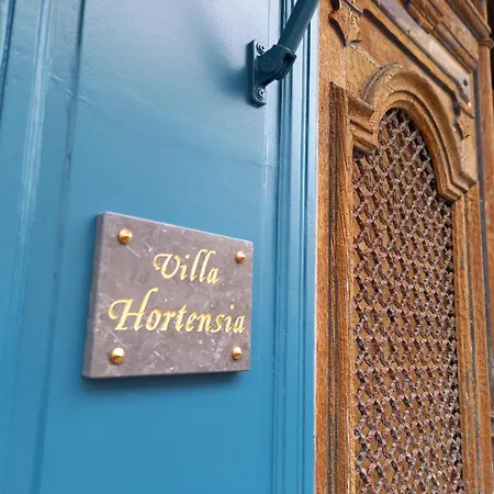 Hortensia Couette-café *